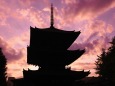 奈良の夕景