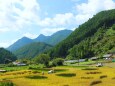 初秋の里山