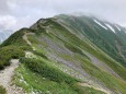 坂の上の雲の山