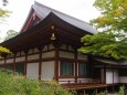 秋の毛越寺