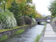 萩満開の創成川公園