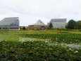 秋の富山県中央植物園