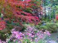 秋の日光輪王寺庭園