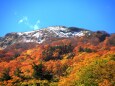 雪山と紅葉