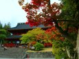 秋の日光山輪王寺