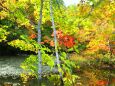 秋の八幡平