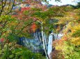 秋の華厳の滝