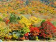 中禅寺湖紅葉