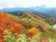 栂池自然園