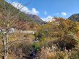 三才山の紅葉満開