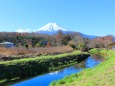 秋の忍野八海