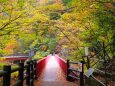 秋の宇奈月温泉