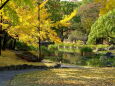 深まる秋の公園で