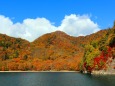 中禅寺湖紅葉