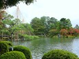 秋の兼六園