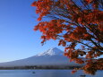 富士山&紅葉