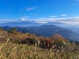 浜石岳から眺むー富士山