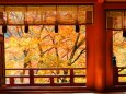 談山神社紅葉