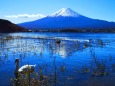 初冬の河口湖