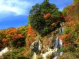 面白山紅葉川渓谷