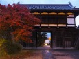 秋の夜の小諸城址公園