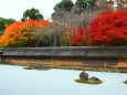 龍安寺紅葉