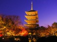 秋の夜の東寺