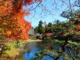 東山動植物園紅葉