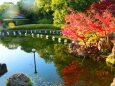 白川庭園紅葉