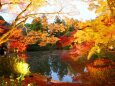 京都府立植物園