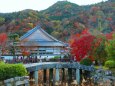 天龍寺から嵐山