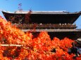 秋の南禅寺