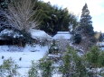 山村の雪景色