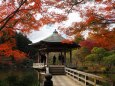 秋の成田山公園