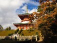 秋の成田山公園