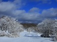 白銀の公園