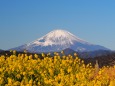 吾妻山公園から望む富士山