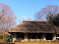 冬の府中市郷土の森博物館