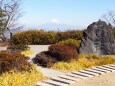 日本平から望む富士山