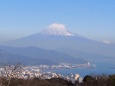 日本平から望む富士山