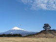 展望台から望む富士山ゆゆ