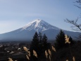 新倉富士浅間神社から望む富士山