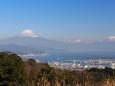 日本平から望む富士山