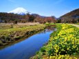 忍野八海