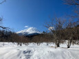 創造の森の雪景色