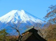 忍野八海