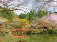 醍醐寺