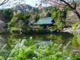 龍安寺