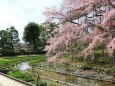 京都府立植物園