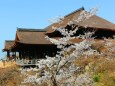 清水寺